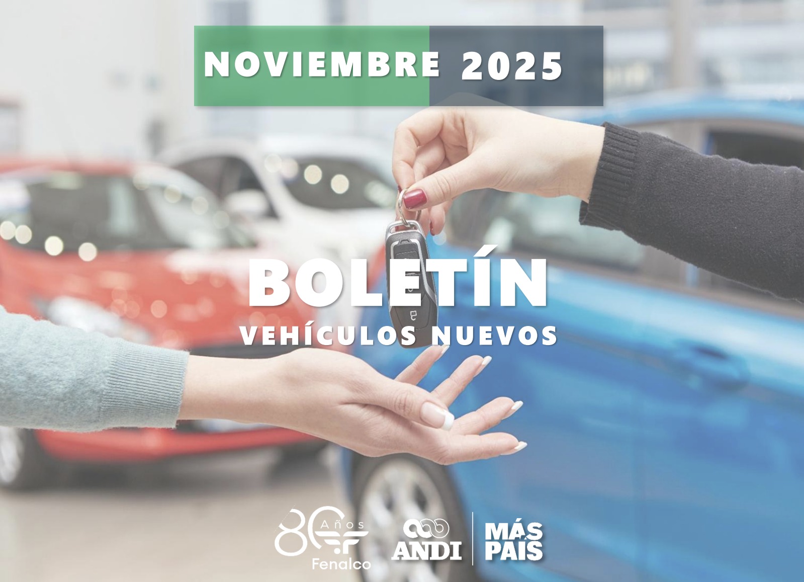 Informe Noviembre 2025
